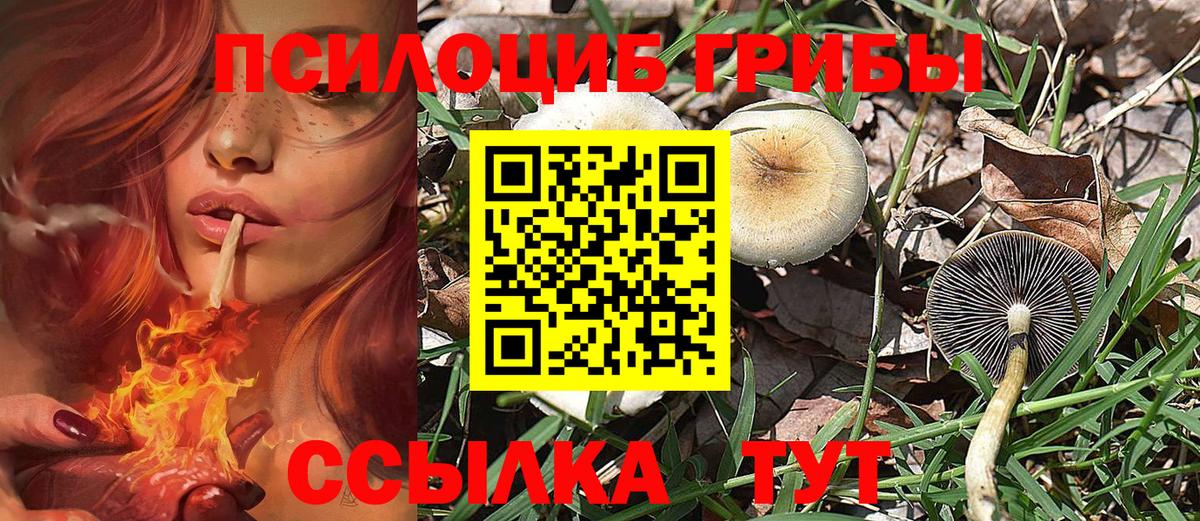 Псилоцибиновые грибы ЛСД  где найти   Арзамас  Псилоцибиновые грибы Magic Shrooms  Вход с VPN 